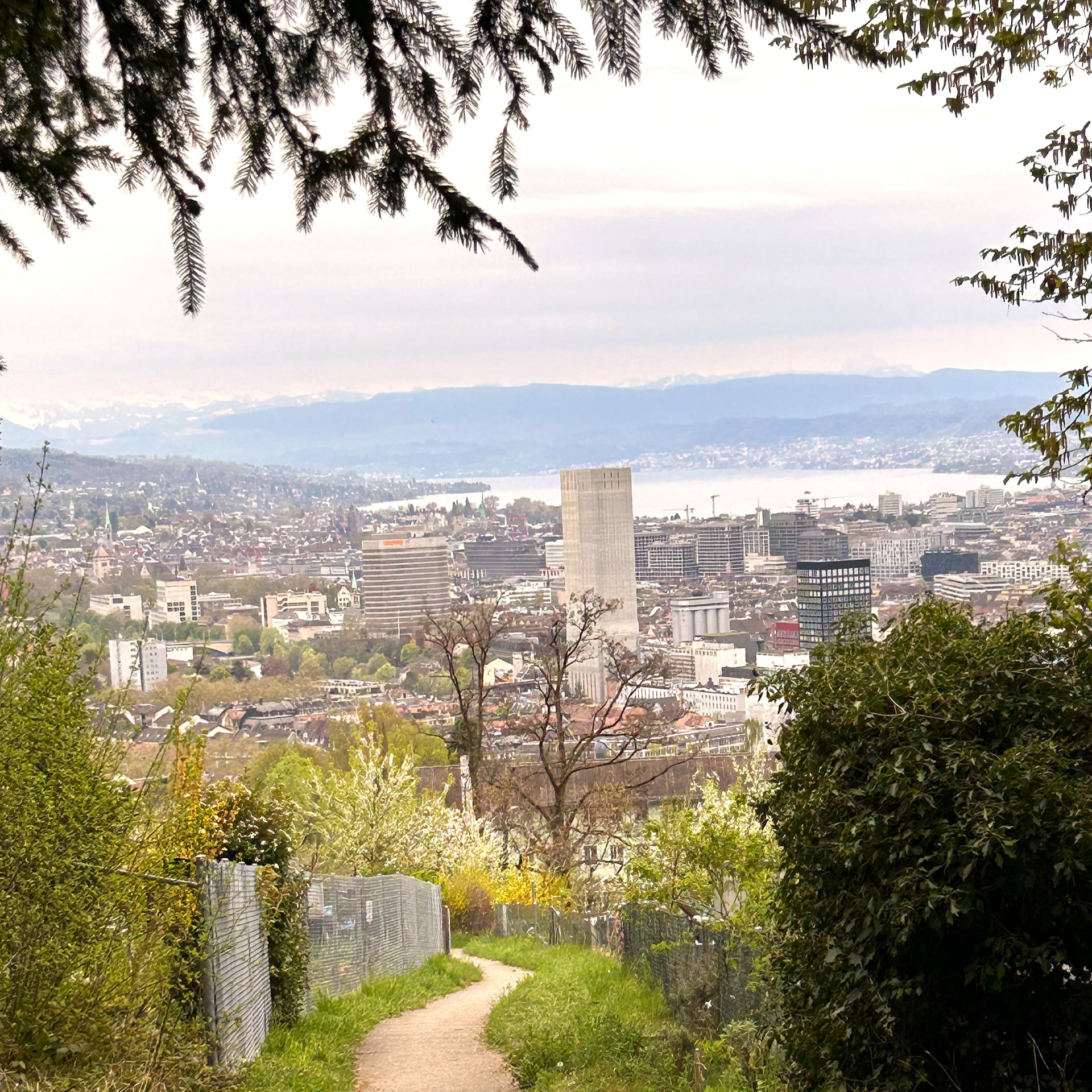 Blick vom Käferberg über Zürich zum See und den Alpen